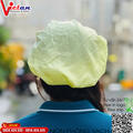 Nón Phòng Sạch Chống Tĩnh Điện Màu Vàng VAPS-04