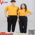 Áo Thun Đông Phục VAAT-09