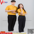 Áo Thun Đông Phục VAAT-09